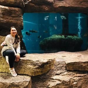 Meet your Posher, Acel